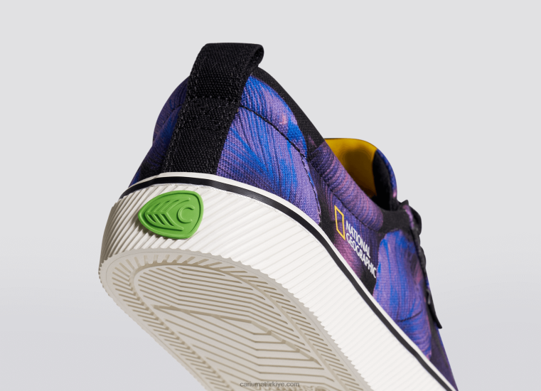 tr Cariuma erkekler national geographic barış zambağı mor tuval 6L62829