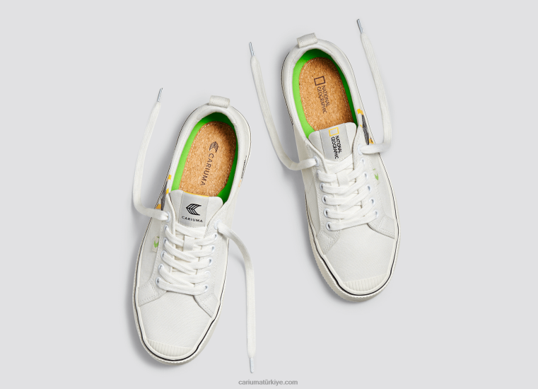 tr Cariuma erkekler national geographic kertenkele kirli beyaz kanvas 6L62885