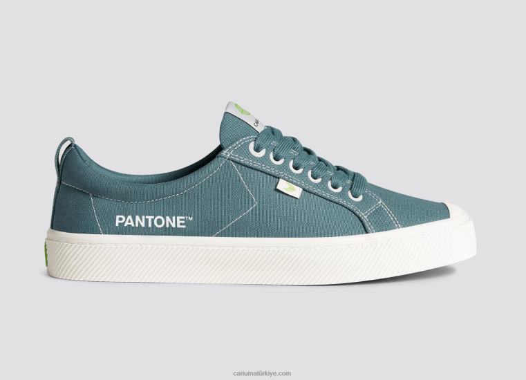 tr Cariuma erkekler pantone goblen tuval 6L62819