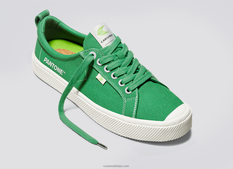 tr Cariuma erkekler pantone greenbriar tuval 6L62820