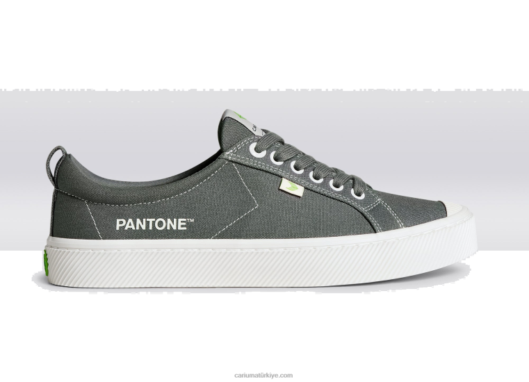 tr Cariuma erkekler pantone çirkin yaratık gri tuval 6L62840