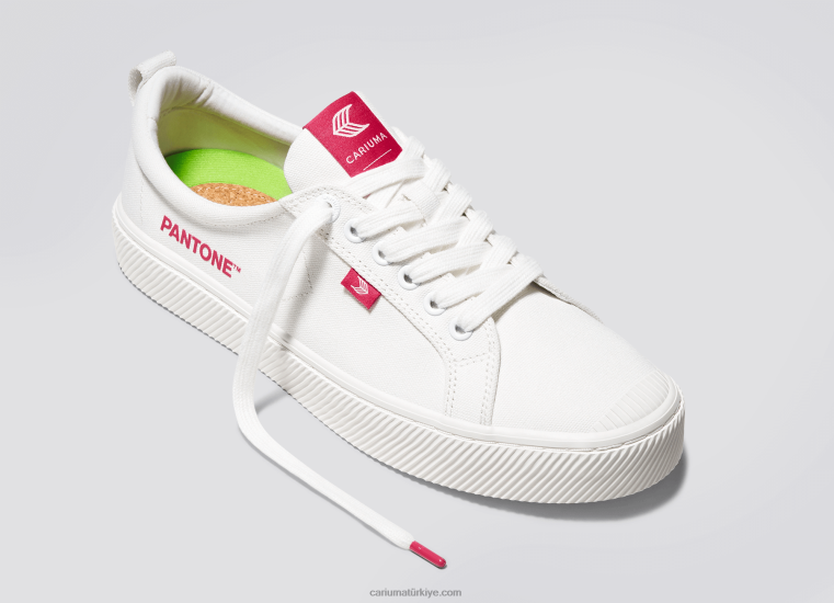 tr Cariuma erkekler pantone kırık beyaz/viva eflatun kanvas 6L62839