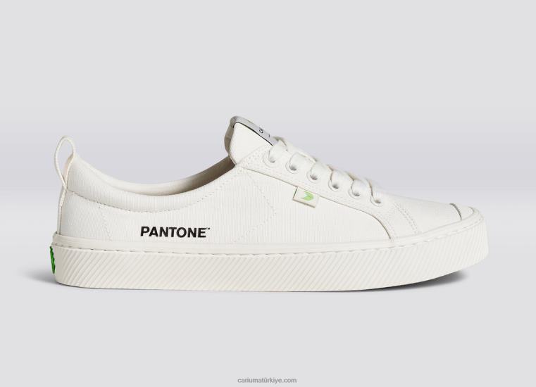 tr Cariuma erkekler pantone kar beyaz tuval 6L62816