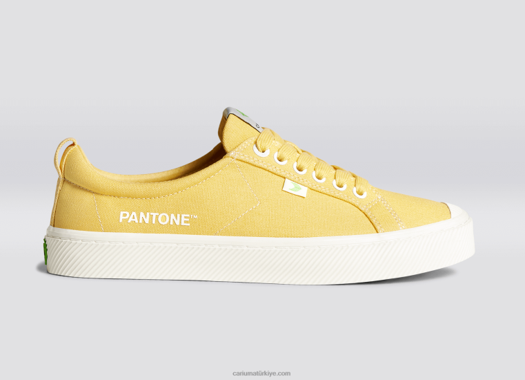 tr Cariuma erkekler pantone mısır püskülü tuval 6L62849