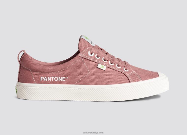 tr Cariuma erkekler pantone solmuş gül tuval 6L62818