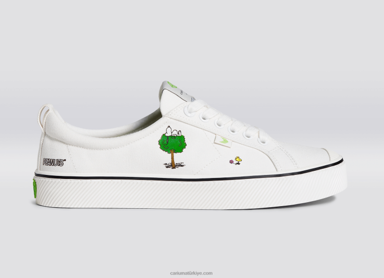 tr Cariuma erkekler yer fıstığı toprak kirli beyaz kanvas 6L62882