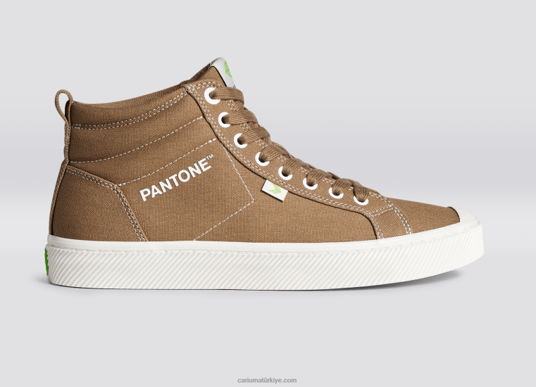 tr Cariuma erkekler pantone aslan tuval 6L62864