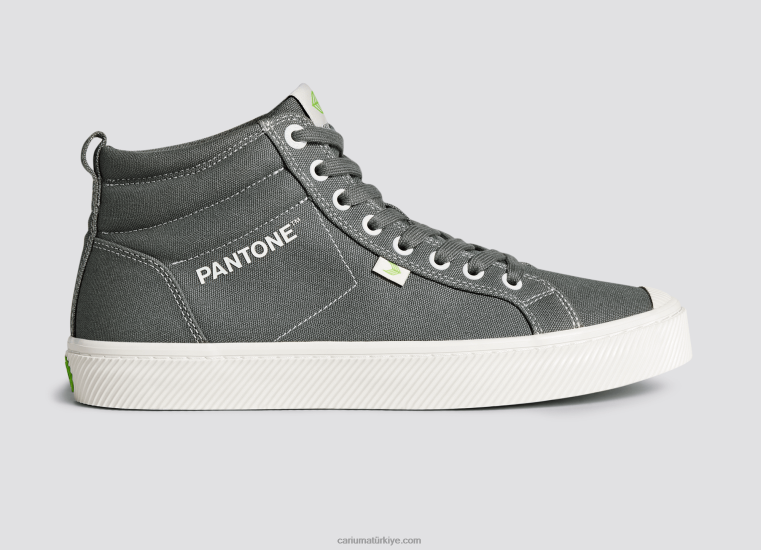 tr Cariuma erkekler pantone çirkin yaratık gri tuval 6L62865