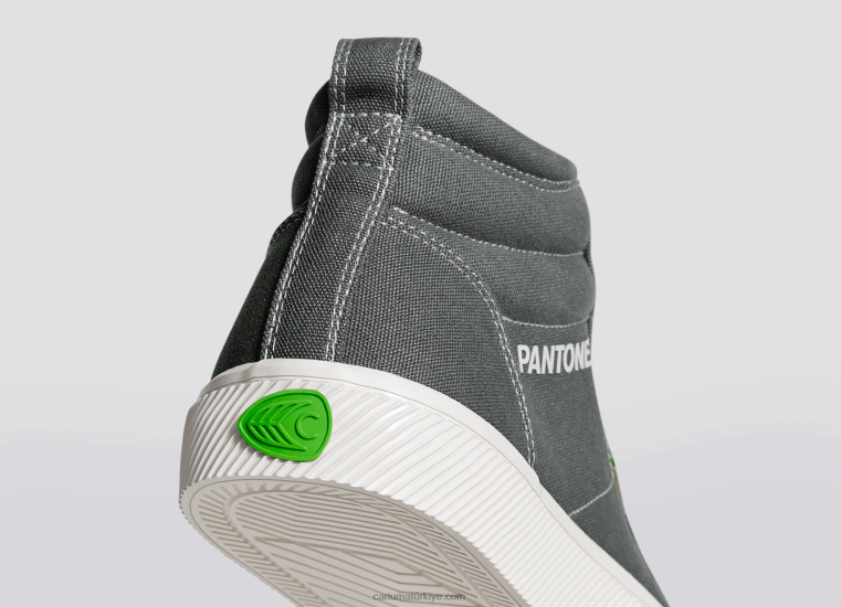 tr Cariuma erkekler pantone çirkin yaratık gri tuval 6L62865