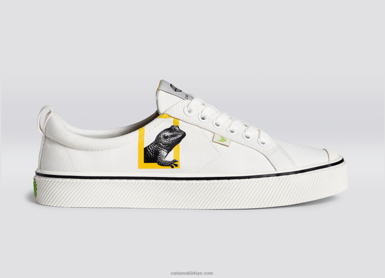 tr Cariuma kadınlar national geographic kertenkele kirli beyaz kanvas 6L628302