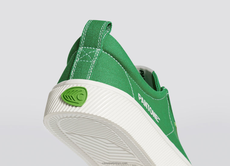 tr Cariuma kadınlar pantone greenbriar tuval 6L628231