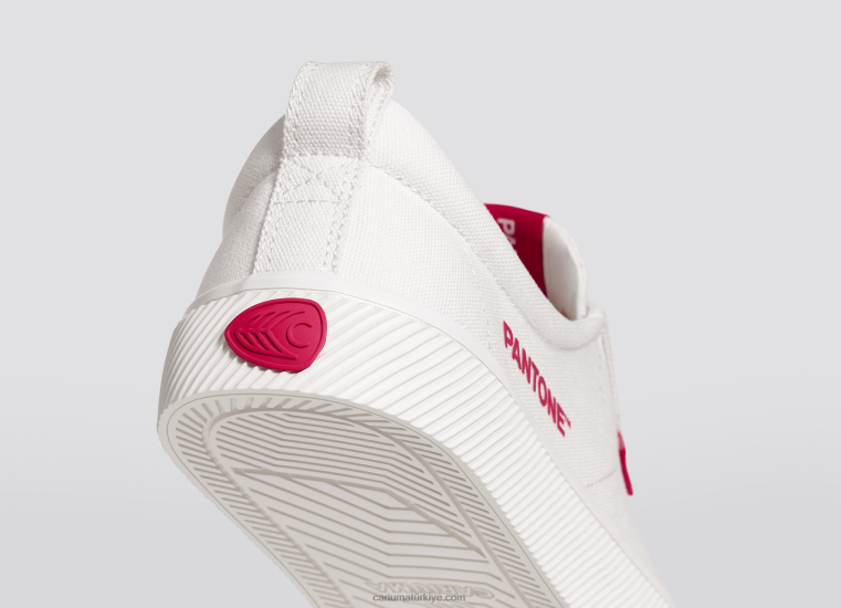 tr Cariuma kadınlar pantone kırık beyaz/viva eflatun kanvas 6L628252