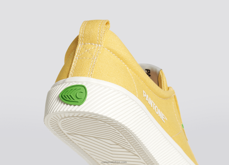 tr Cariuma kadınlar pantone mısır püskülü tuval 6L628268